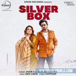 Silver Box