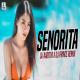 Senorita (Remix)