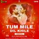 Tum Mile Dil Khile (Remix)