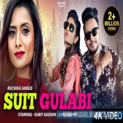 Suit Gulabi