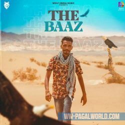 The Baaz