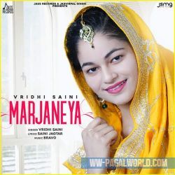 Marjaneya - Vridhi Saini